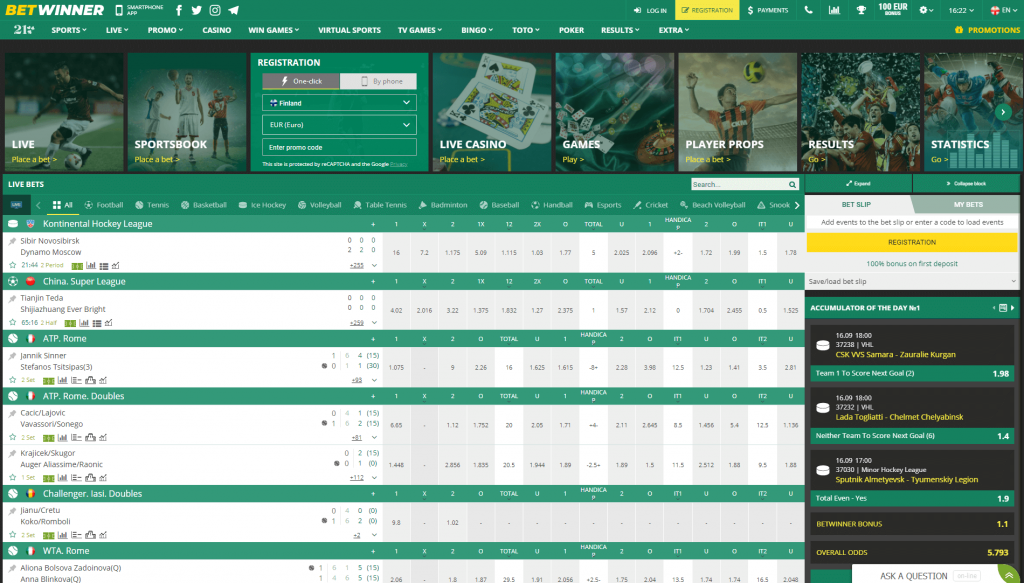Web Sitesi Tasarımı ve Arayüzü